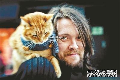 当流浪汉遇到流浪猫就好像阳光洒进生活