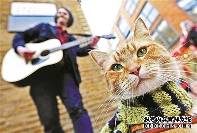 当流浪汉遇到流浪猫就好像阳光洒进生活