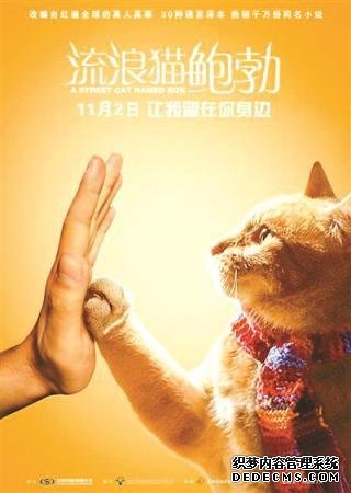 当流浪汉遇到流浪猫就好像阳光洒进生活