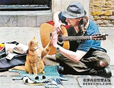 当流浪汉遇到流浪猫就好像阳光洒进生活