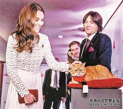 当流浪汉遇到流浪猫就好像阳光洒进生活
